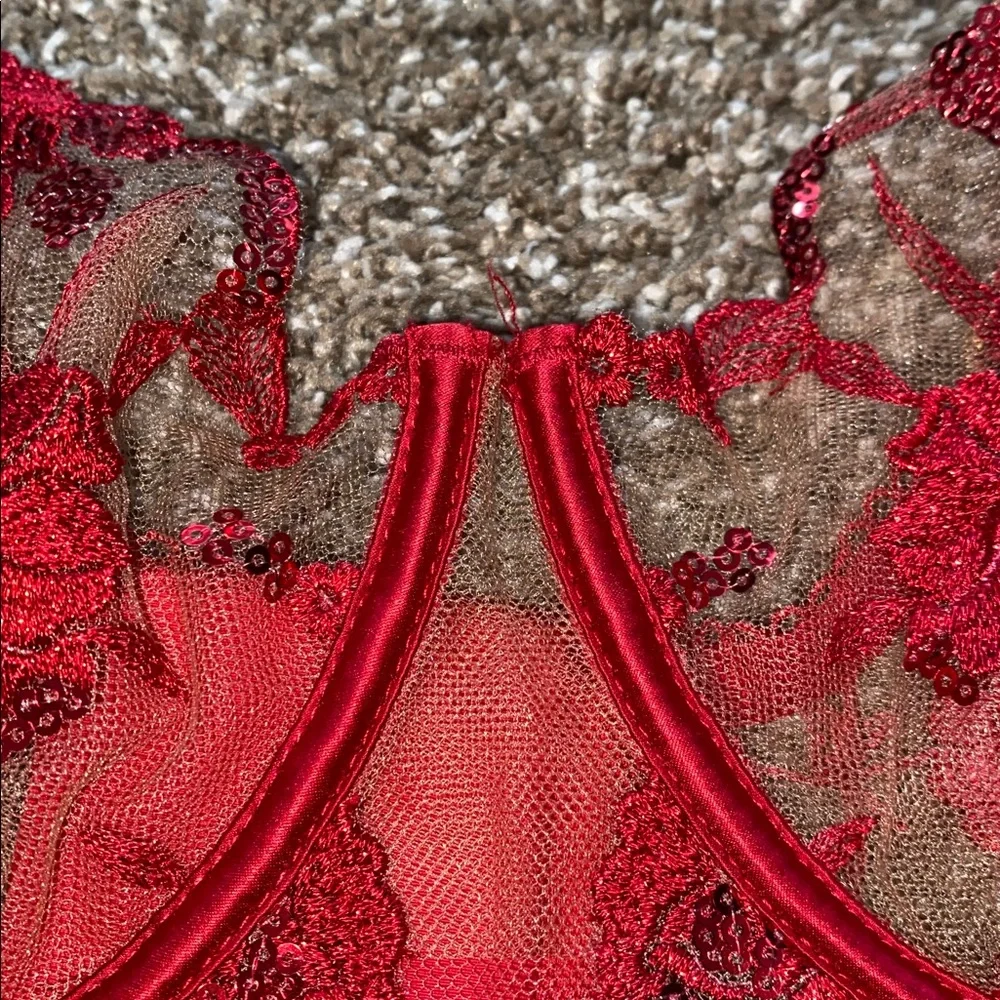 HB Whitney Sparkling Red bustier - Picture 2 of 3
